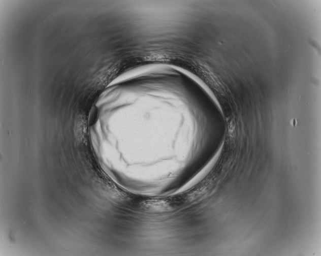 X0000096390322200802141501