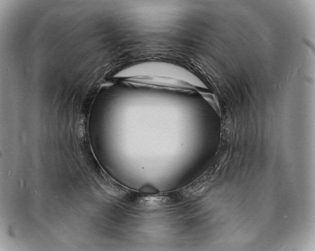 X0000096390323200802141501