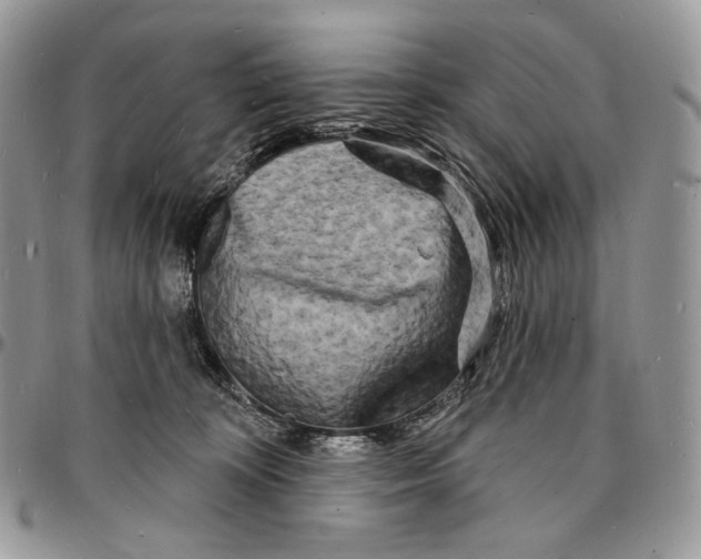 X0000096390324200802141501