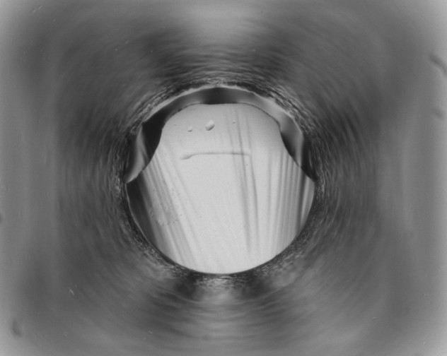 X0000096390325200802141501