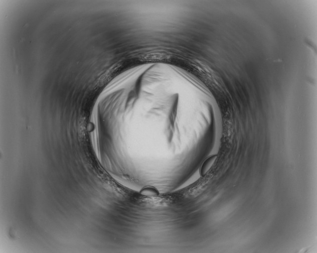 X0000096390326200802141501