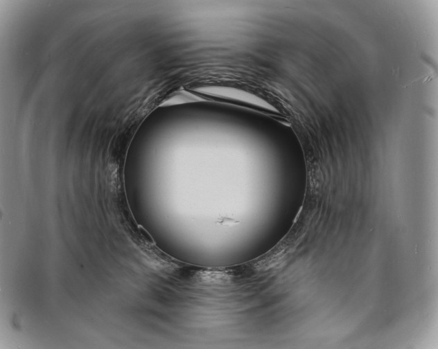 X0000096390327200802141501