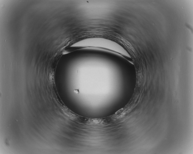 X0000096390329200802141501