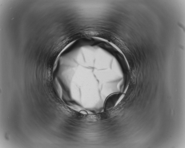X0000096390330200802141501