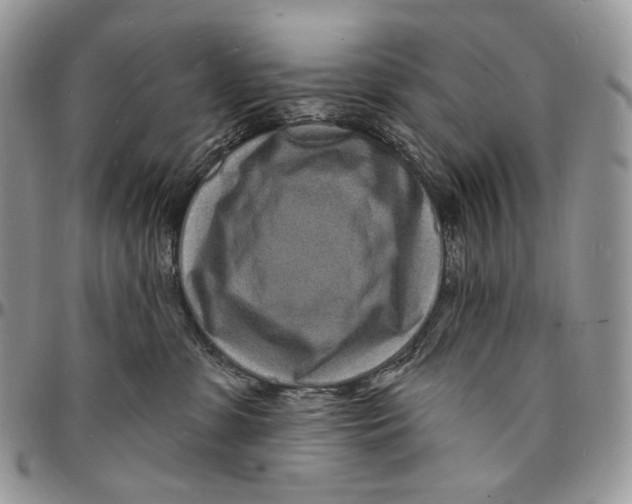 X0000096390331200802141501