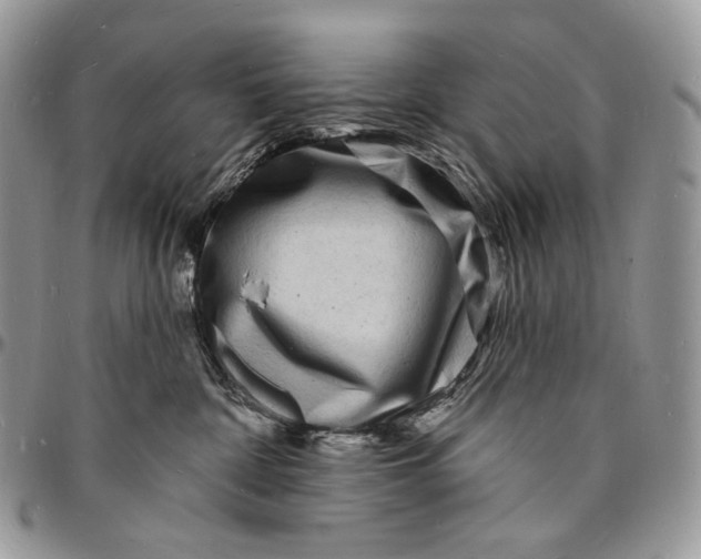 X0000096390332200802141501