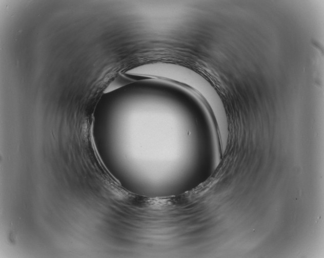 X0000096390333200802141501