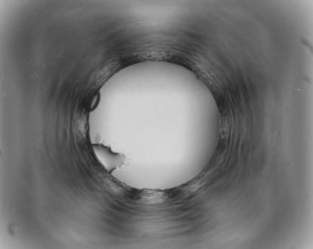 X0000096390334200802141501