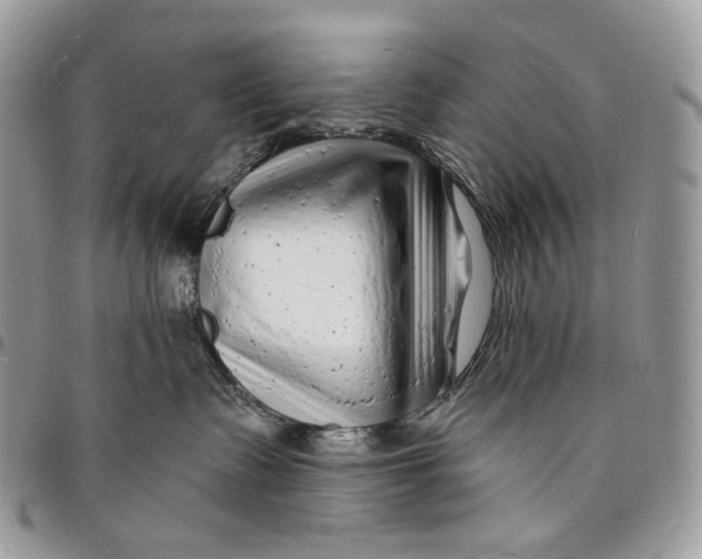 X0000096390335200802141501