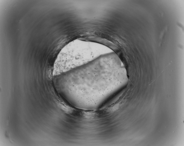 X0000096390336200802141501