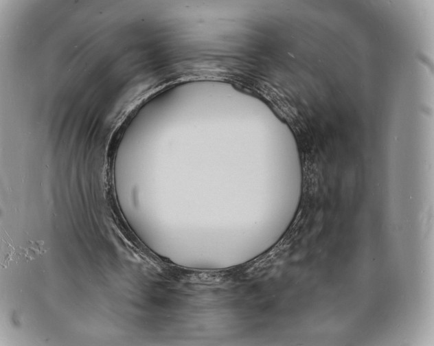 X0000096390338200802141500