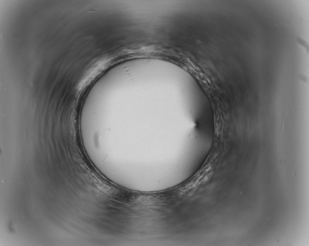 X0000096390341200802141500