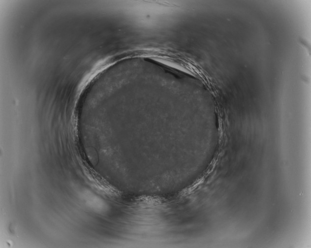 X0000096390343200802141500