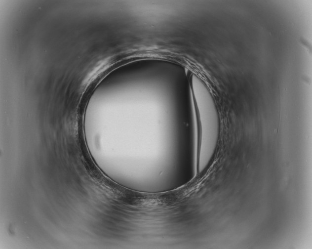 X0000096390344200802141500