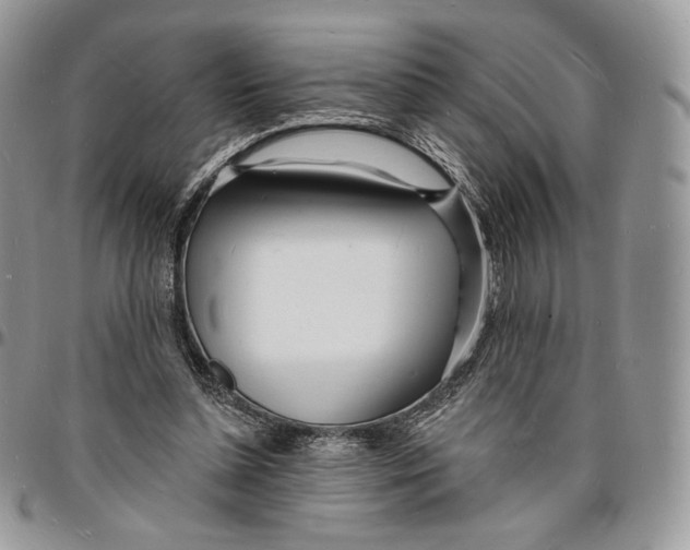 X0000096390348200802141500