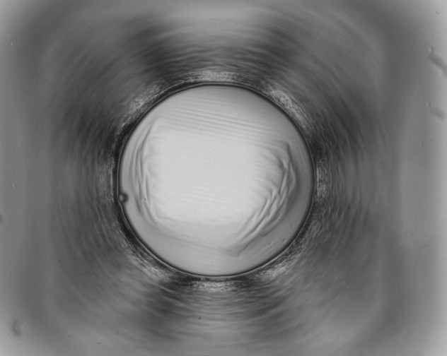 X0000096390349200802141500