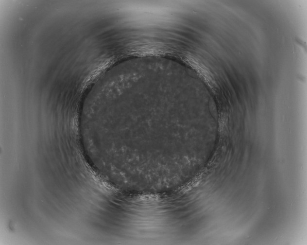 X0000096390353200802141500