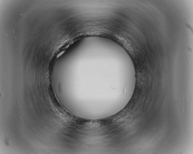 X0000096390354200802141500