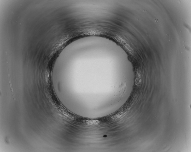 X0000096390355200802141500