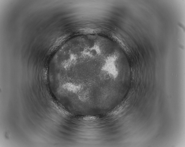 X0000096390357200802141500