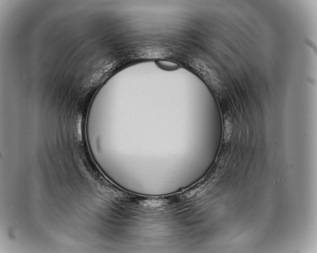 X0000096390358200802141500
