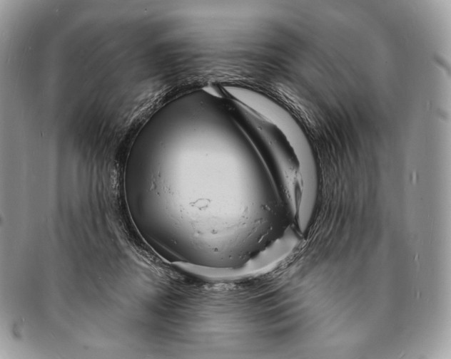 X0000096390362200802141501