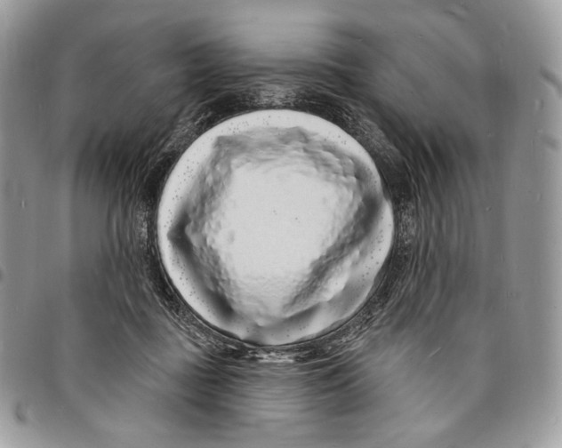 X0000096390363200802141501