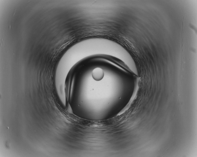 X0000096390364200802141501