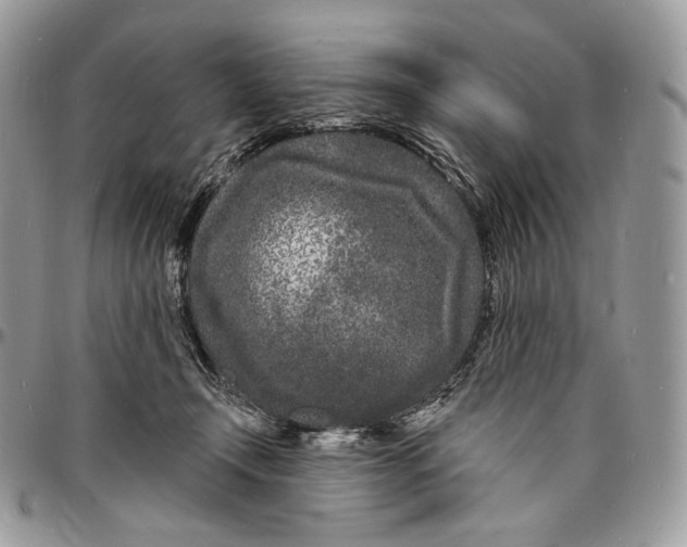 X0000096390366200802141501