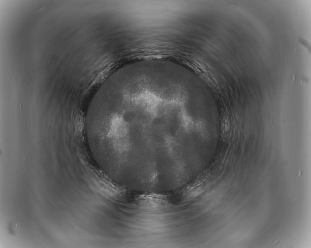 X0000096390367200802141501