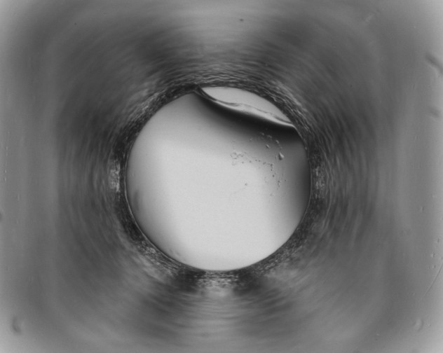 X0000096390368200802141501