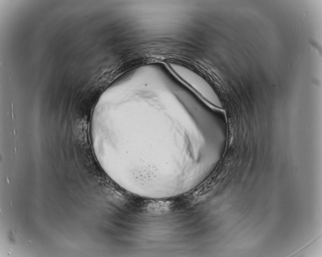 X0000096390369200802141501