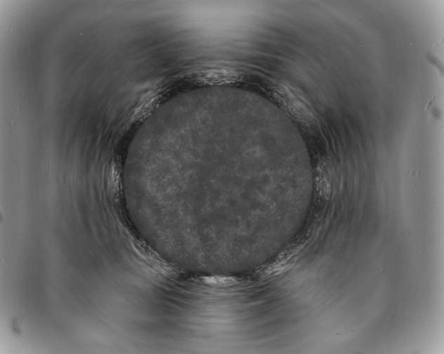 X0000096390371200802141501