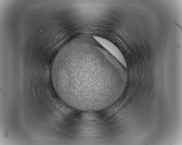 X0000096390372200802141501