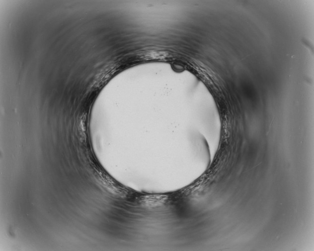 X0000096390373200802141501