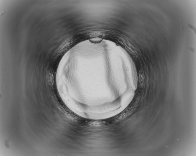X0000096390375200802141501