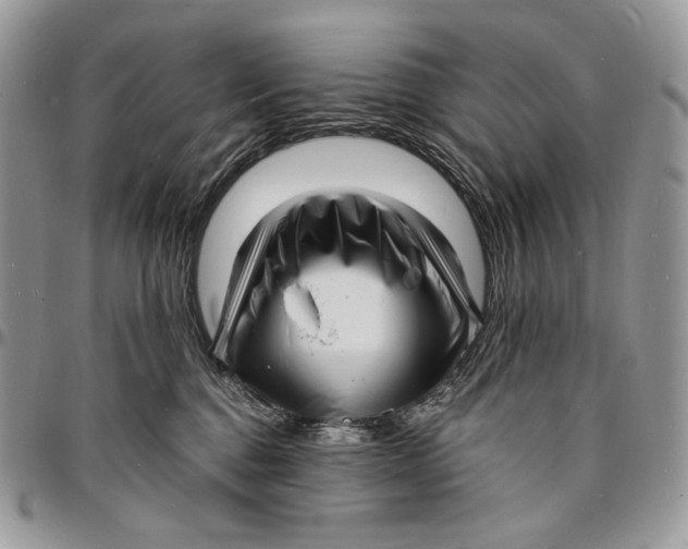 X0000096390376200802141501
