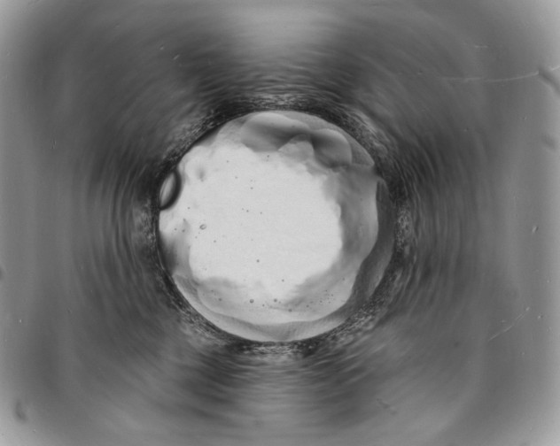 X0000096390377200802141501