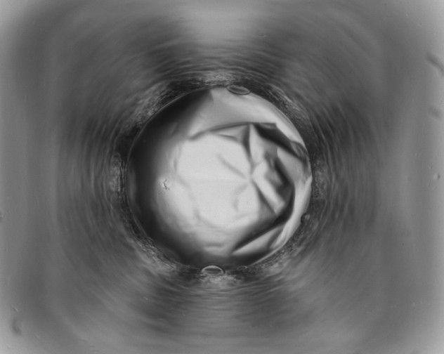 X0000096390379200802141501