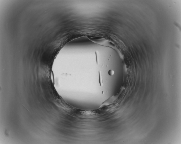 X0000096390380200802141501