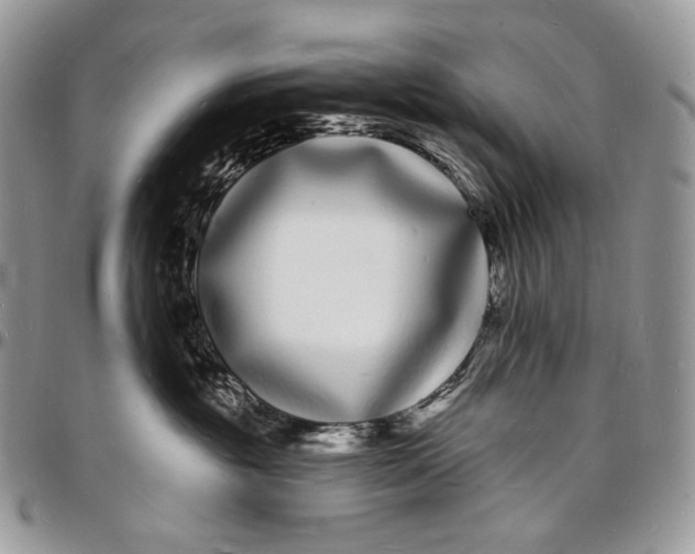 X0000096390381200802141501
