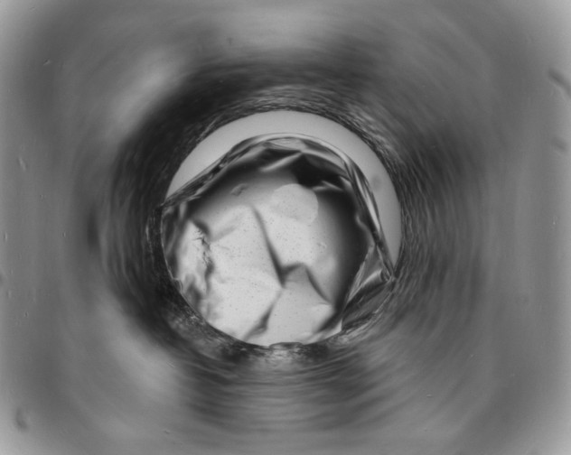 X0000096390382200802141501