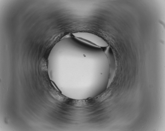 X0000096390384200802141501