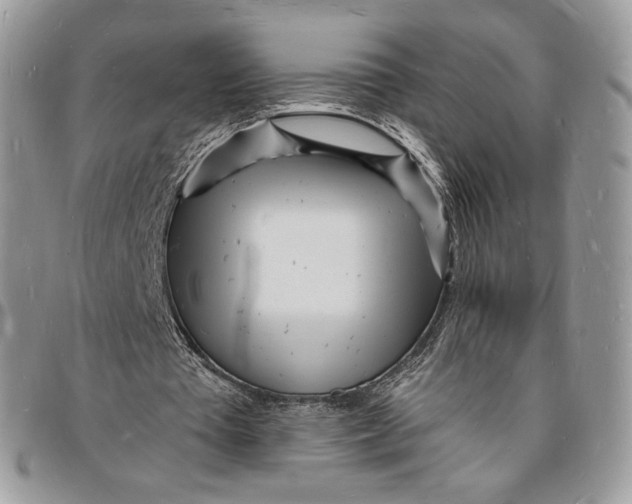 X0000096390385200802141500