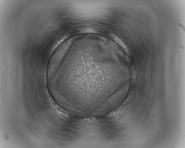X0000096390386200802141500