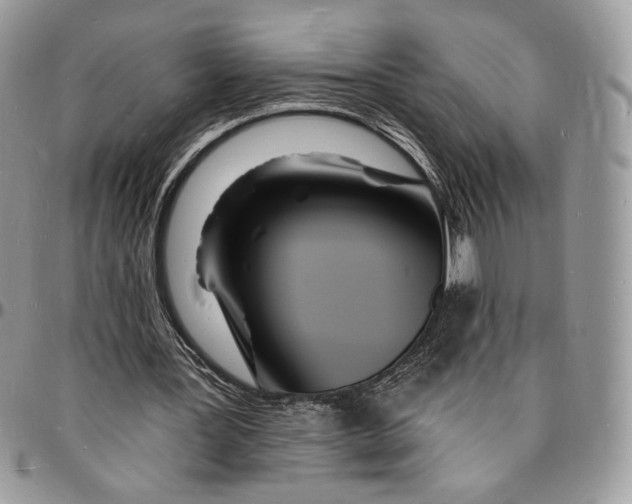 X0000096390387200802141500