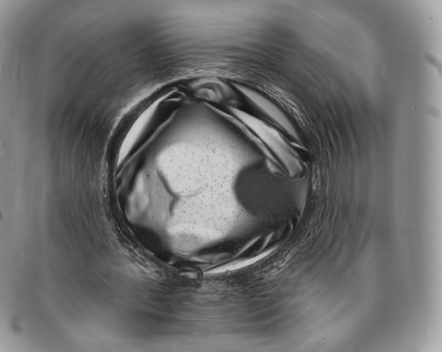 X0000096390388200802141500