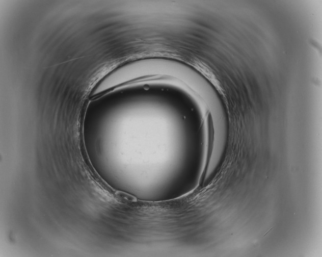 X0000096390389200802141500