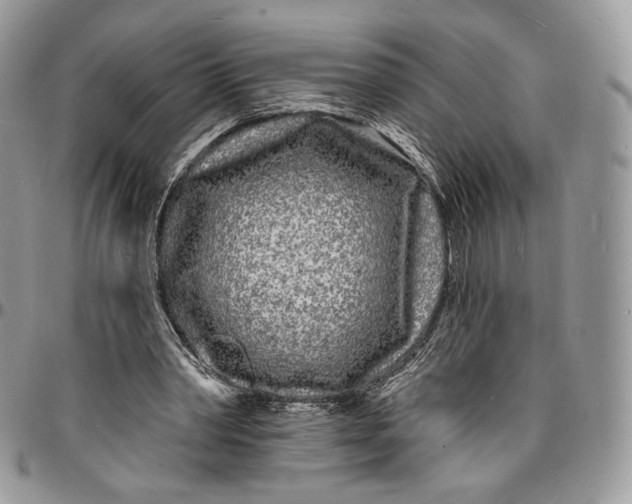 X0000096390390200802141500