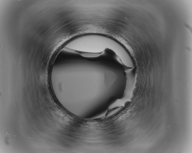 X0000096390391200802141500